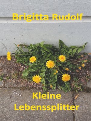 cover image of Kleine Lebenssplitter